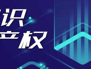 知识产权保护助企创新发展
