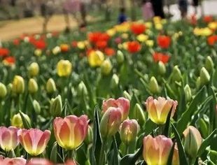 4月7日至4月8日开盘前，多方重磅发声：坚定看好中国资本市场发展前景，坚决维护资本市场平稳运行。