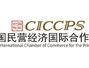 中国民营经济国际合作商会简介
