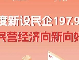 一图速览丨一季度新设民企197.9万户 民营经济向新向好