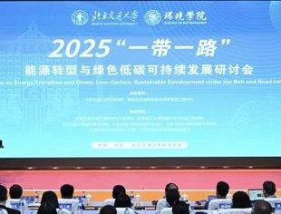 热点新闻丨中外专家学者共商“一带一路”能源转型和绿色低碳可持续发展