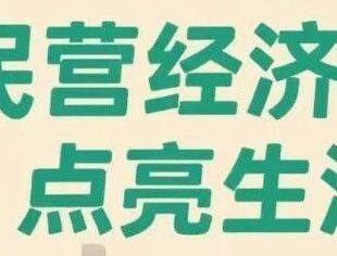 热点新闻丨中国民企，全球贸易稳定的重要力量
