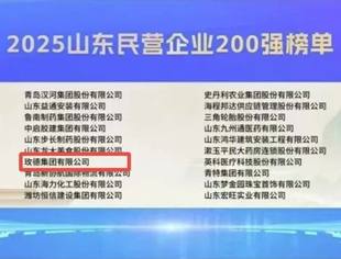 会员风采丨商会副会长单位玫德集团入选2025年山东民营企业百强系列榜单