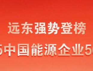会员风采丨问鼎前列!商会常务会长单位远东荣登中国能源企业500强百强席位!