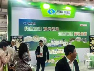 会员风采丨商会副会长单位万辰集团漳州蘑菇节展示现代农业成果