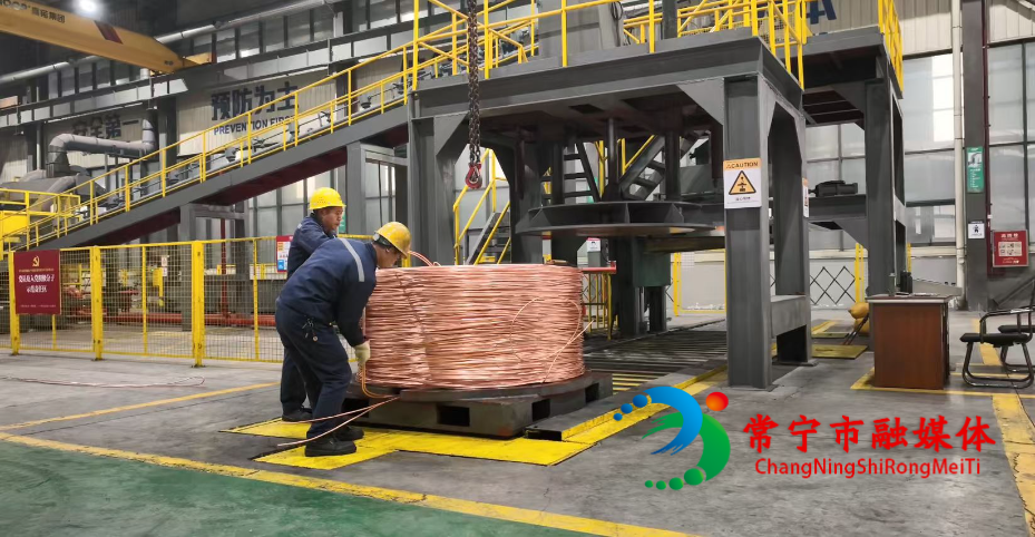 高诺1.jpg 高诺1.jpg