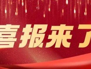 恭喜义乌中非商会获得“先进社会组织”荣誉