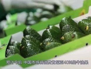 非洲鲜食牛油果首次出口中国