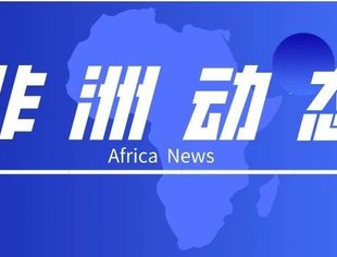 【非洲动态】2020.1.8