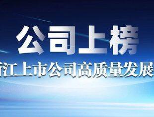 【会员动态】华友钴业上榜2020浙江上市公司高质量发展百强榜！