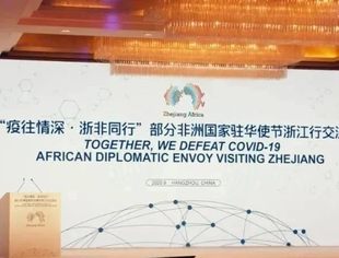 【商会动态】汪力成：政企联动  以市场推动浙非合作