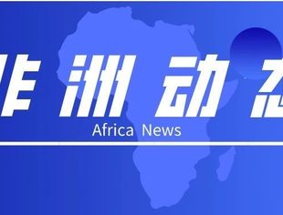 【非洲动态】2020.2.18