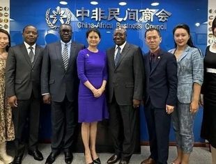刚果民主共和国驻华大使与中非民间商会座谈