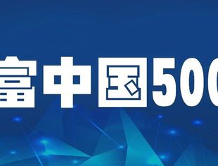 【会员动态】浙江华友钴业股份有限公司跻身《财富》中国500强