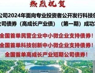 特变电工成功发行全国首单民营企业中小微企业支持债券