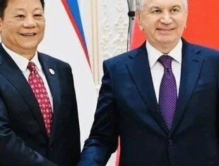 乌兹别克斯坦总统米尔济约耶夫会见华立集团董事会主席汪力成