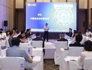 中资企业“数字化出海”发展经验交流会成功召开