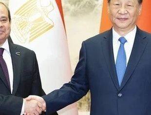 习近平同埃及总统塞西会谈