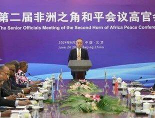 外交部副部长陈晓东出席第二届非洲之角和平会议高官会