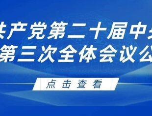 中国共产党第二十届中央委员会第三次全体会议公报