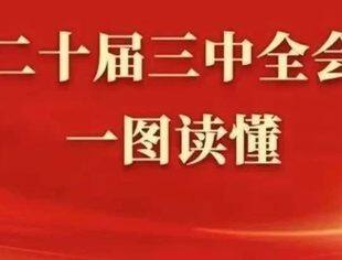 二十届三中全会专题｜党的二十届三中全会公报一图读懂