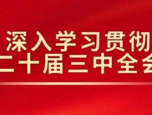改革潮头启新程——全国民营经济领域学习贯彻党的二十届三中全会精神综述之一
