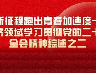 在改革新征程跑出青春加速度——全国民营经济领域学习贯彻党的二十届三中全会精神综述之二