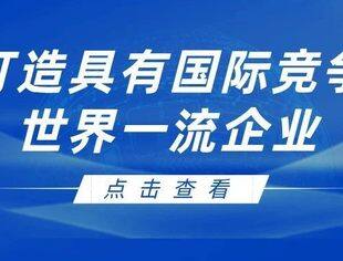 理事长专题丨特变电工董事长张新：奋力打造具有国际竞争力的世界一流企业