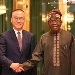 外交部副部长陈晓东拜会尼日利亚总统提努布