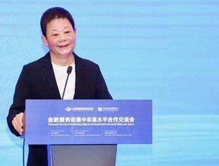 汪力成：以投资和金融服务为牵引点 逐步提高中非经贸投资合作的质量