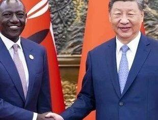 习近平会见肯尼亚总统鲁托