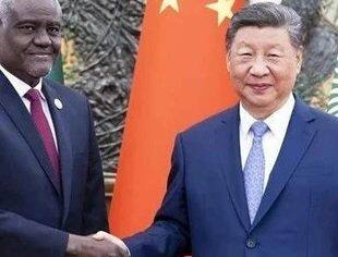 习近平会见非盟委员会主席法基