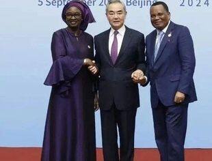 中非合作论坛共同主席国外长共见记者
