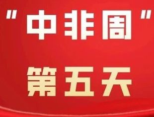 回顾“中非周”第五天丨习近平主席会见索马里、布隆迪、利比里亚、苏丹、马达加斯加、冈比亚、中非、南苏丹等多国领导人