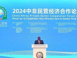2024中非民营经济合作论坛举办