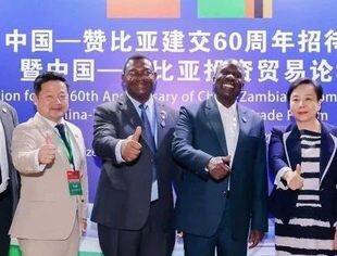 会员动态丨盈科受邀出席中国—赞比亚建交60周年招待会暨中国—赞比亚投资贸易论坛