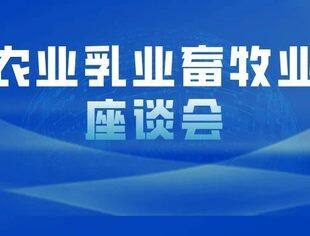 中非农业乳业畜牧业合作座谈会在呼和浩特成功举行