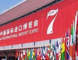 寻味“进博会上的非洲” 感受开放中国气象
