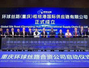 跨越非洲 “链”通世界丨2024全球供应链发展会议在重庆举行
