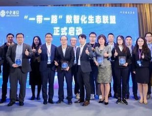 中非民间商会副会长王迎春出席“共绘一带一路 智赋全球新篇数字创新”研讨会