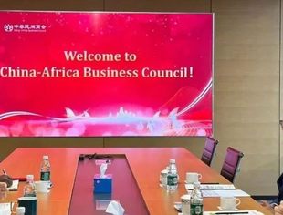 联合国技术银行执行干事迪奥达特·马哈拉吉一行到访中非民间商会