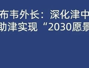 津巴布韦外长：深化津中合作将助津实现“2030愿景”