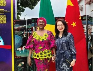 驻刚果（布）使馆举办庆祝中刚建交60周年“中国电影节”首映式