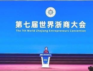 沈莹出席第七届世界浙商大会并致辞