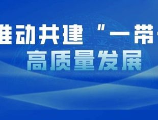习近平：全面推动共建“一带一路”高质量发展