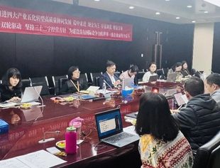 中非民间商会党支部党员会议召开