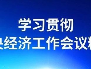 城乡融合 共同富裕——中央经济工作会议精神鼓舞民营企业家迎难而上勇担使命之七