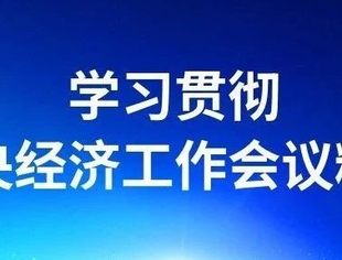 攻坚克难 破浪前行——中央经济工作会议精神鼓舞民营企业家迎难而上勇担使命之二
