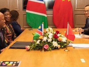 纳米比亚总统姆本巴会见王毅