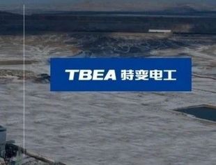 理事长专题丨特变电工两电厂投产发电 护航能源保供助力绿色发展